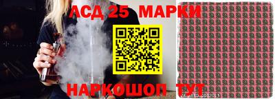 spice Свободный