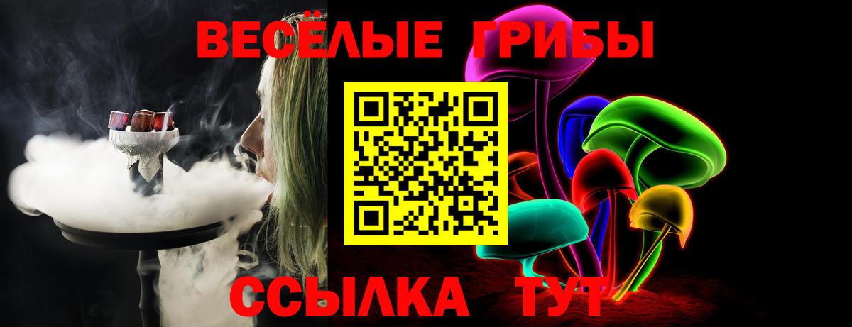 Псилоцибиновые грибы GOLDEN TEACHER  Вход с VPN  Орск  Псилоцибиновые грибы Psilocybine cubensis 